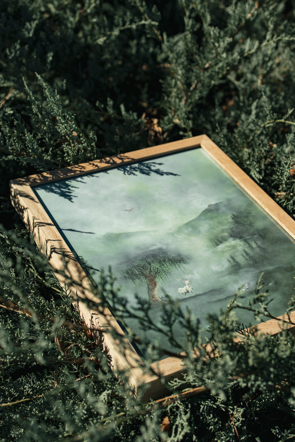 Beneath The Northern Tree