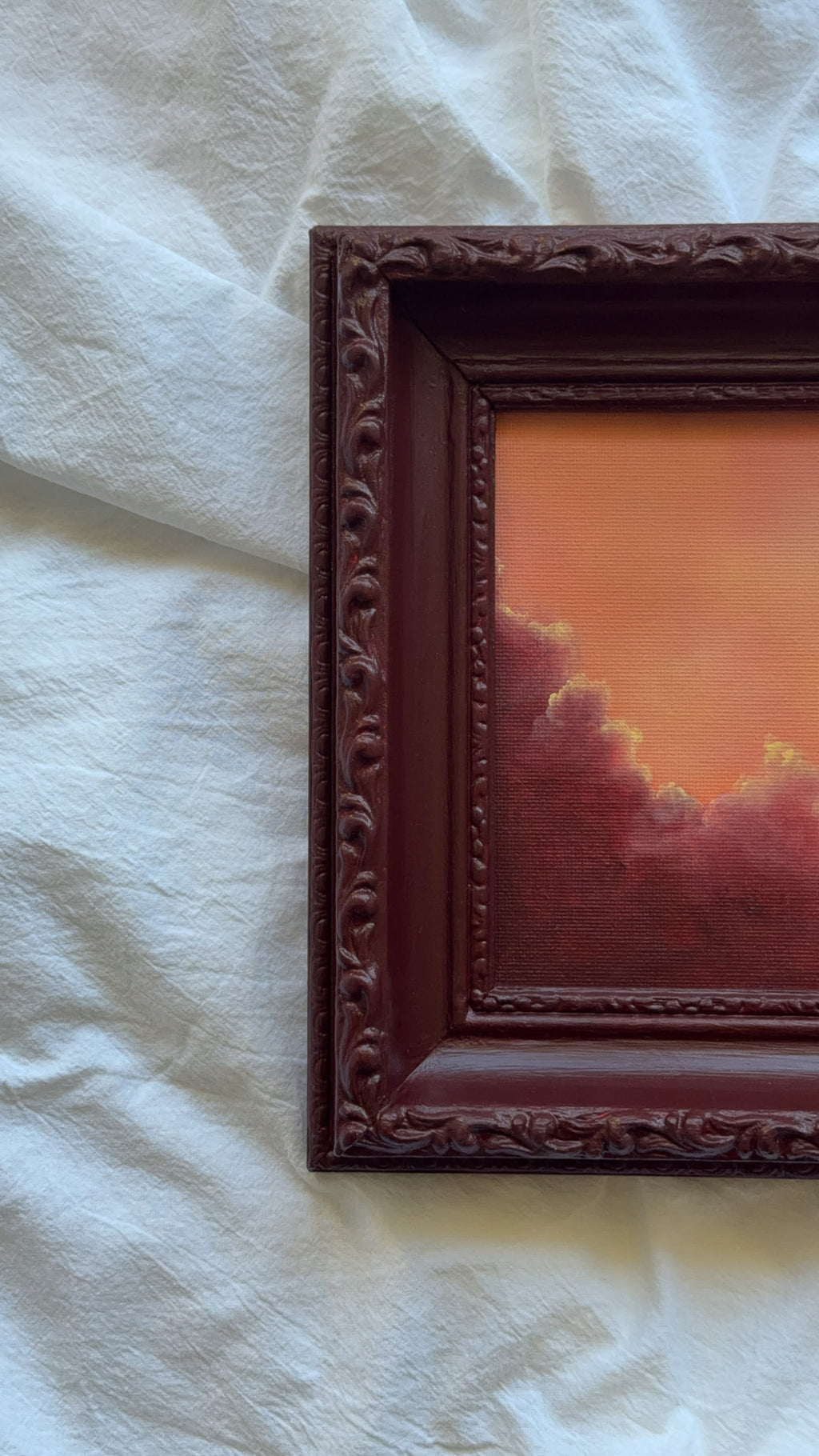 Rose Dusk