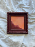 Rose Dusk